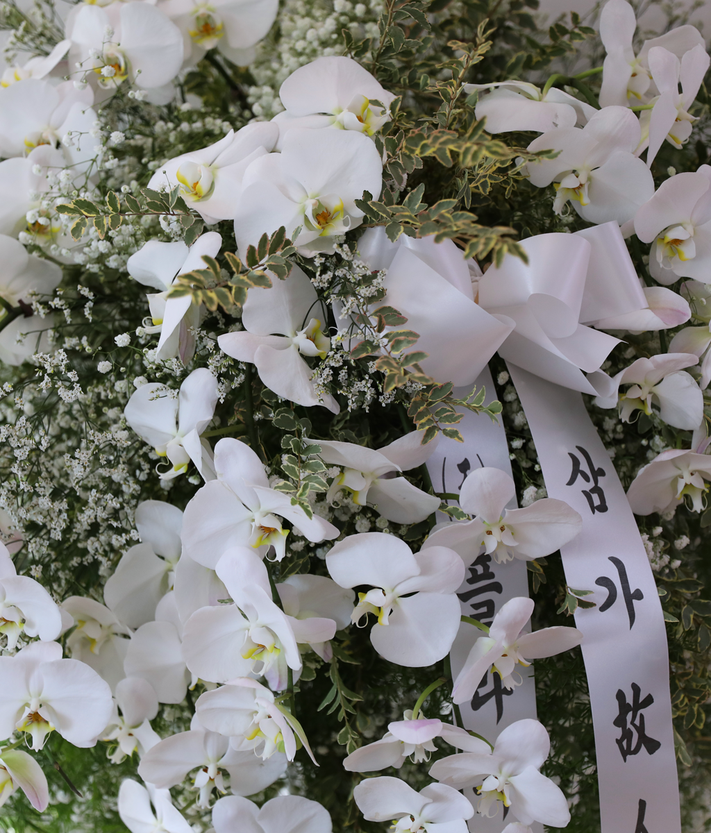 ������ �Ƚ��� ���� ���� �ɹ��