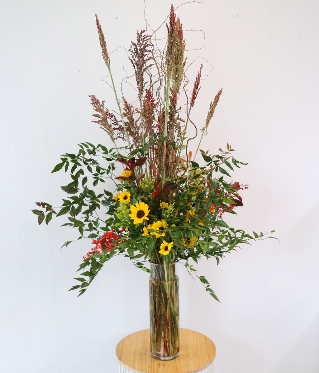 ���� �±��� ���� ���� �ɹ��