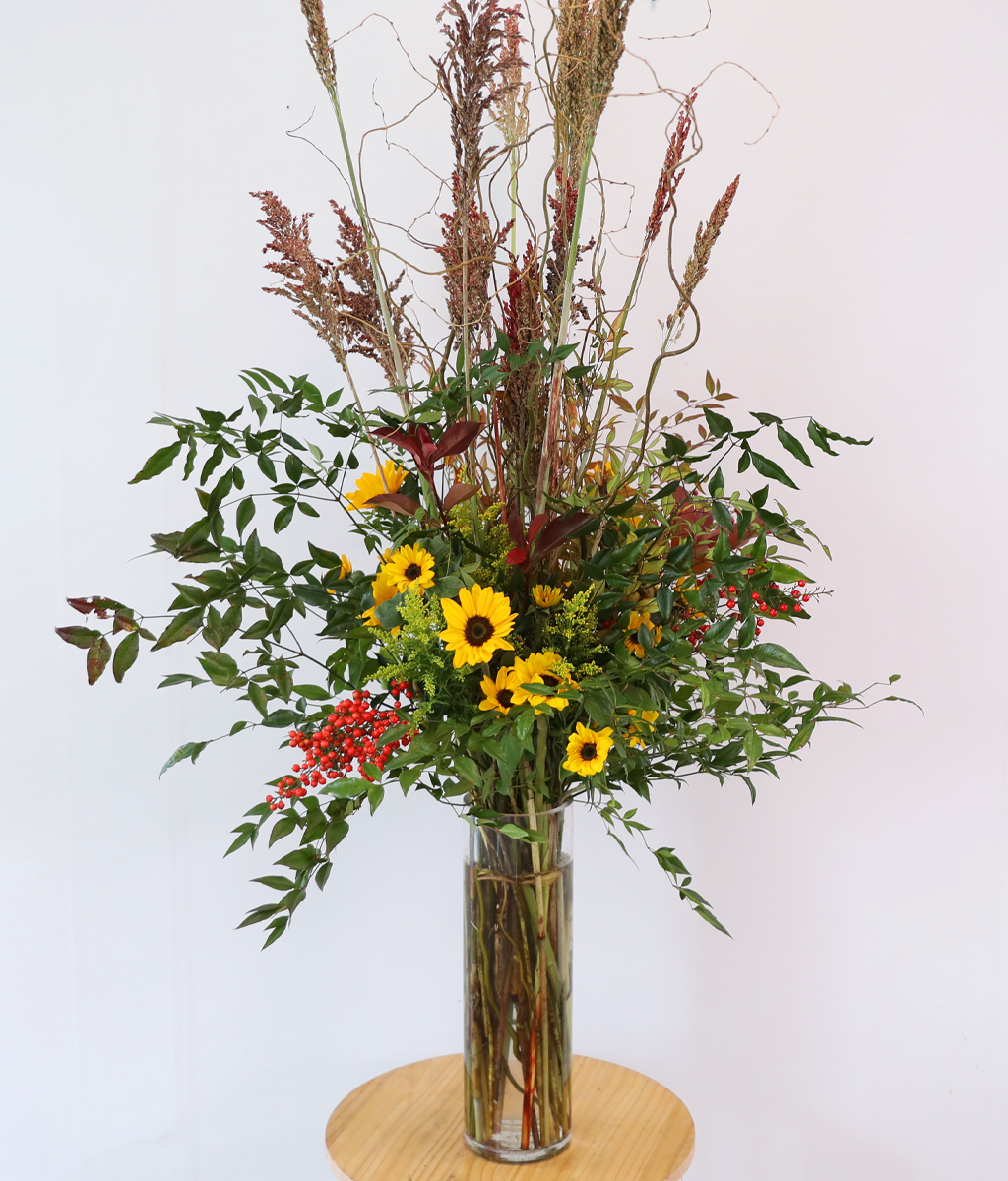 ���� �±��� ���� ���� �ɹ��