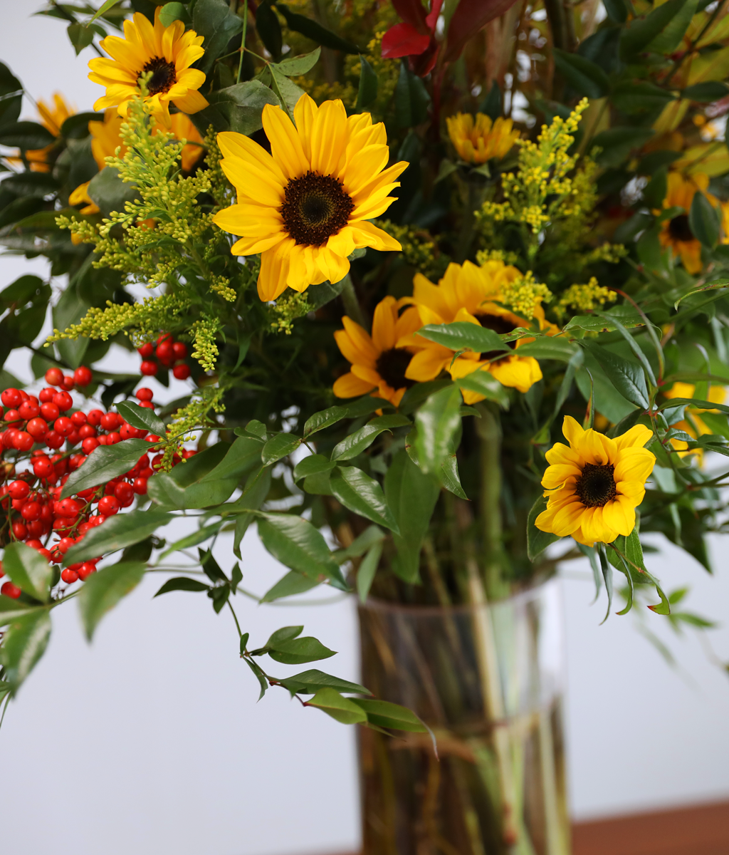 ���� �±��� ���� ���� �ɹ��