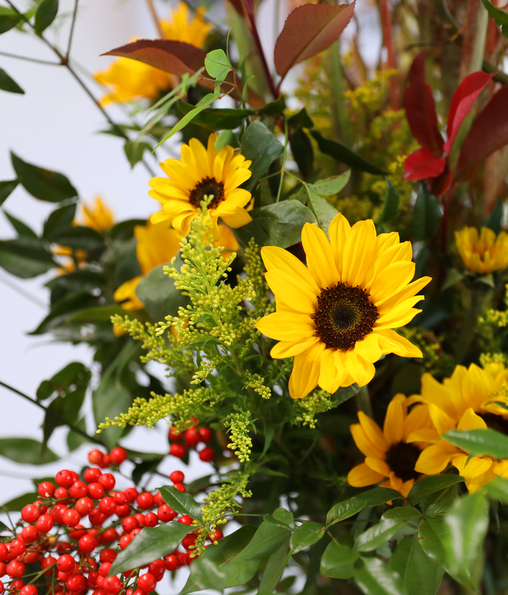 ���� �±��� ���� ���� �ɹ��