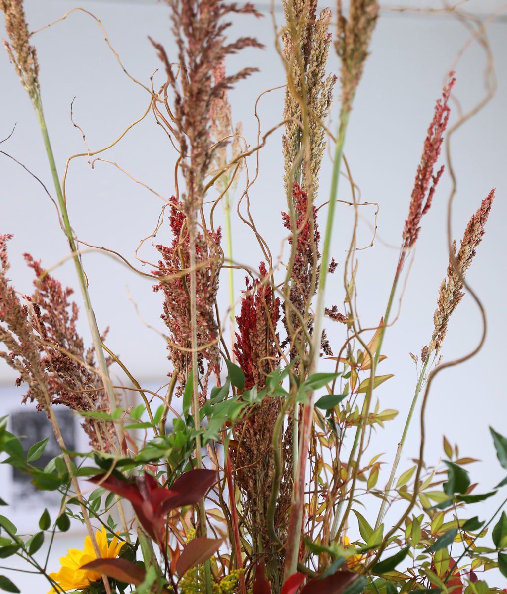 ���� �±��� ���� ���� �ɹ��