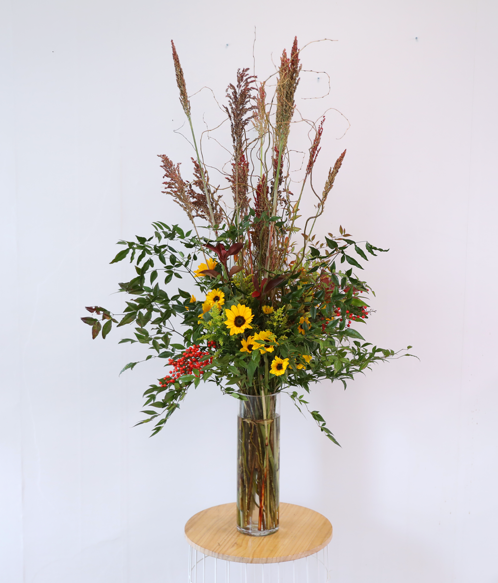 ���� �±��� ���� ���� �ɹ��