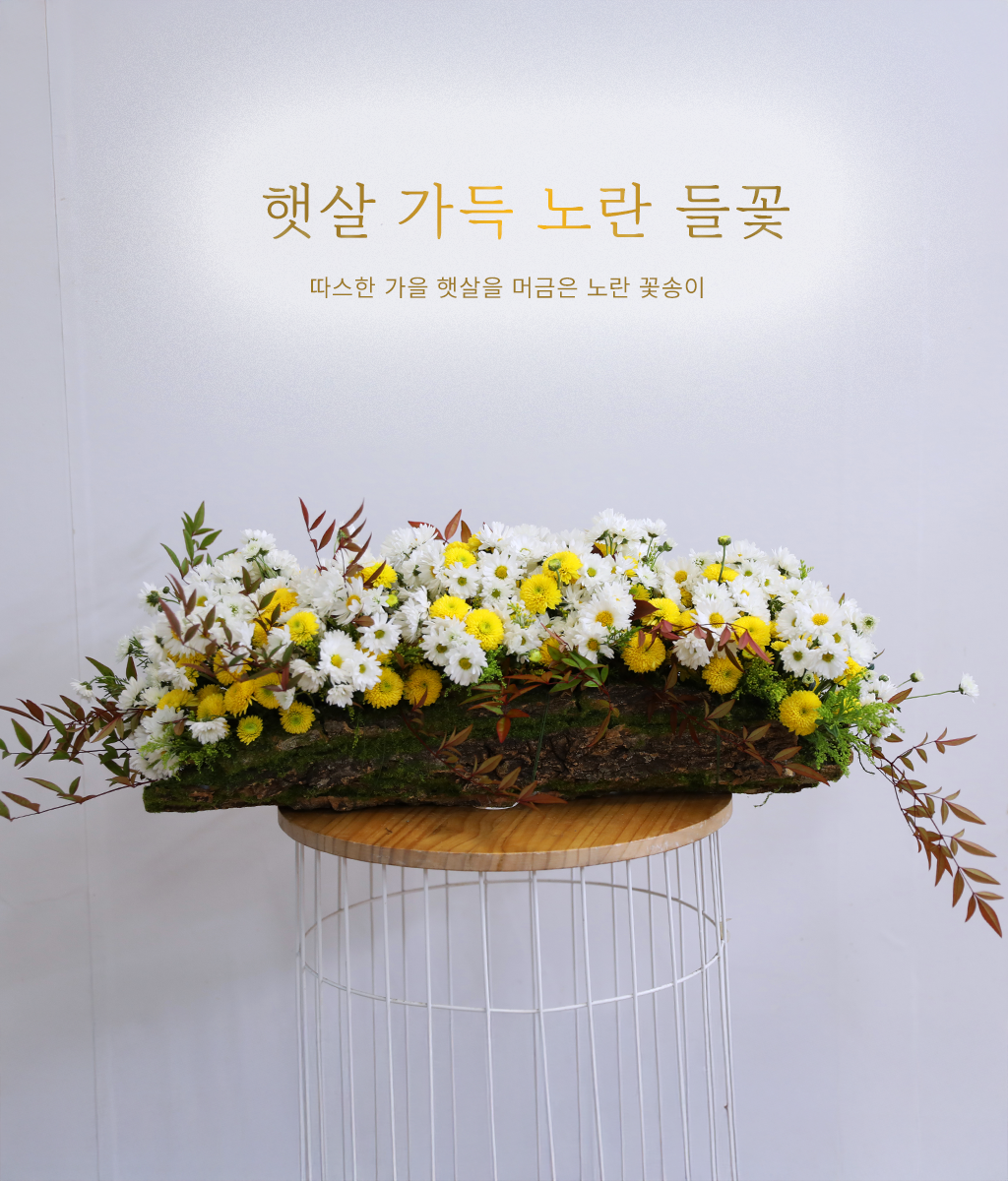 �޻� ���� ��� ��� ���� �ɹ��