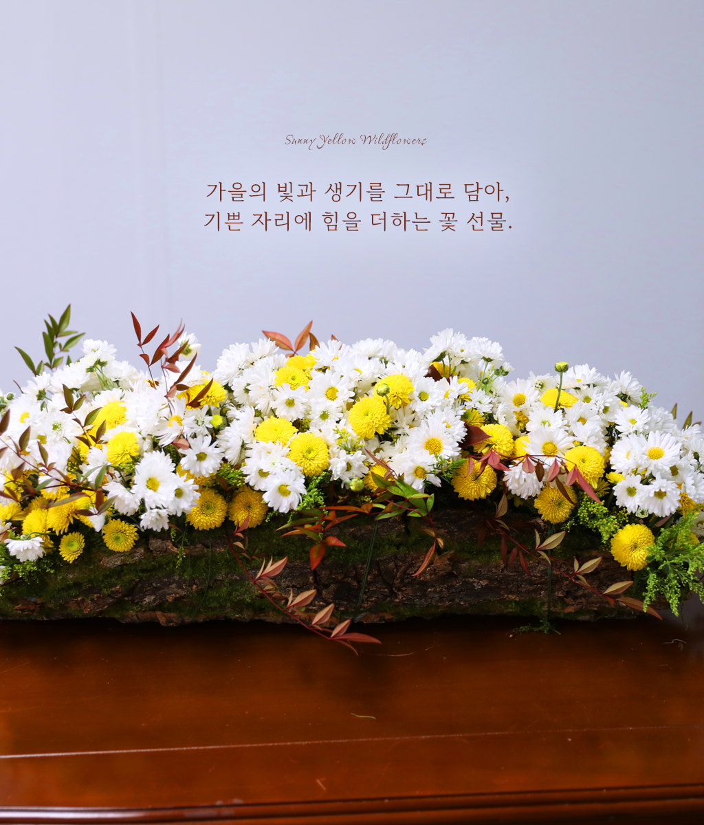 �޻� ���� ��� ��� ���� �ɹ��