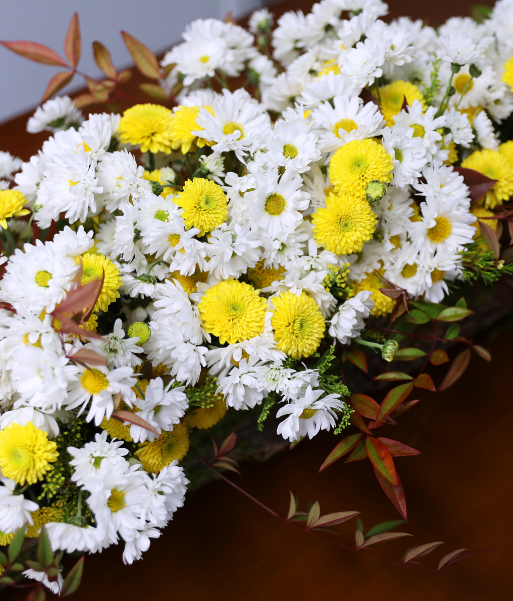 �޻� ���� ��� ��� ���� �ɹ��