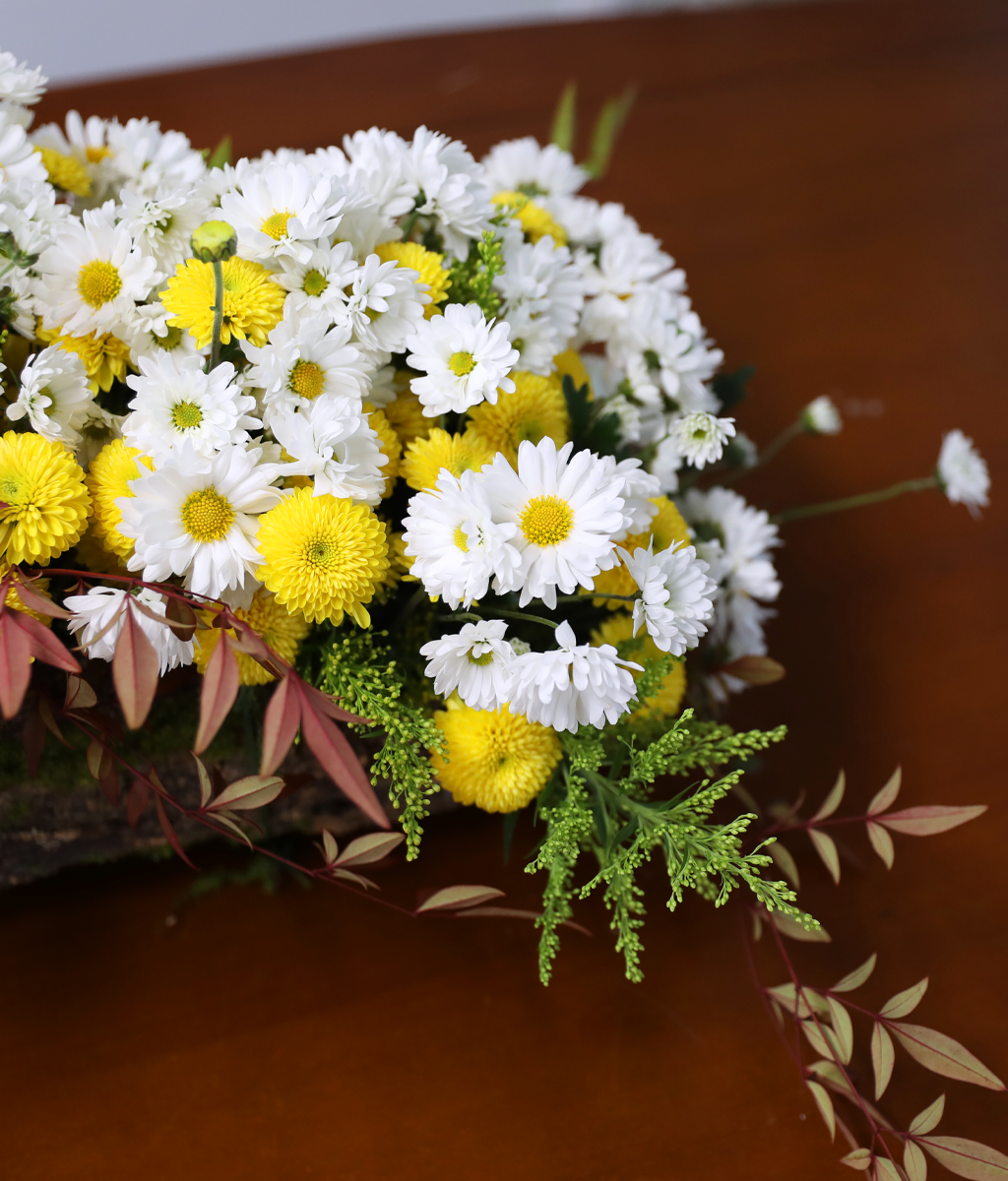 �޻� ���� ��� ��� ���� �ɹ��