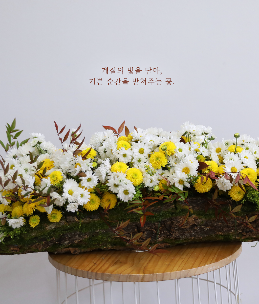 �޻� ���� ��� ��� ���� �ɹ��