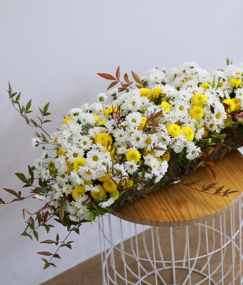 �޻� ���� ��� ��� ���� �ɹ��