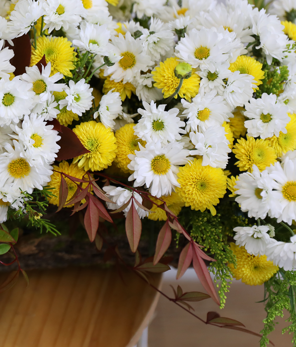 �޻� ���� ��� ��� ���� �ɹ��