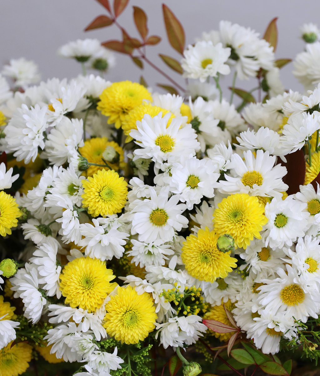 �޻� ���� ��� ��� ���� �ɹ��