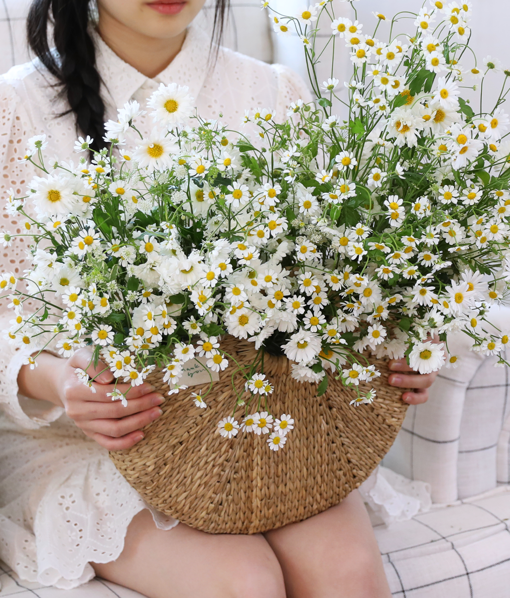 ���� �޻� ��� ���� ���� �ɹ��