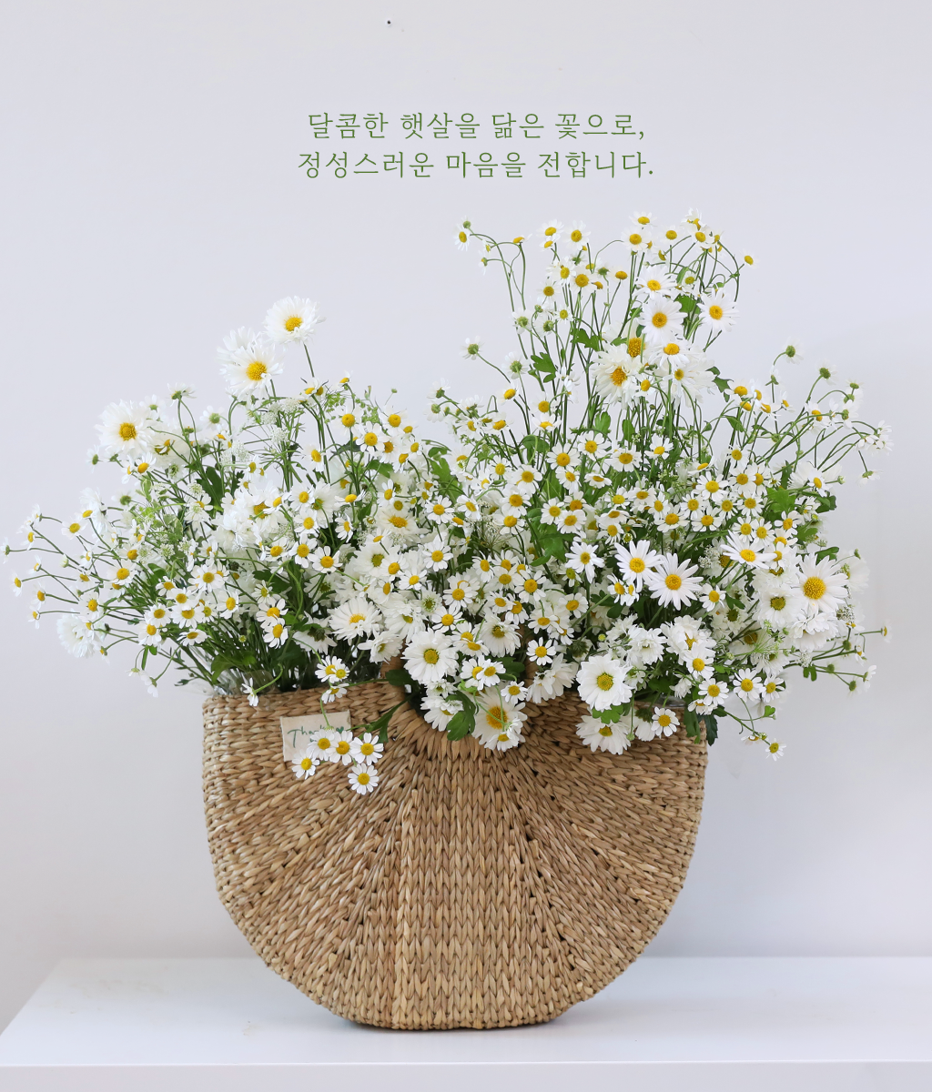 ���� �޻� ��� ���� ���� �ɹ��