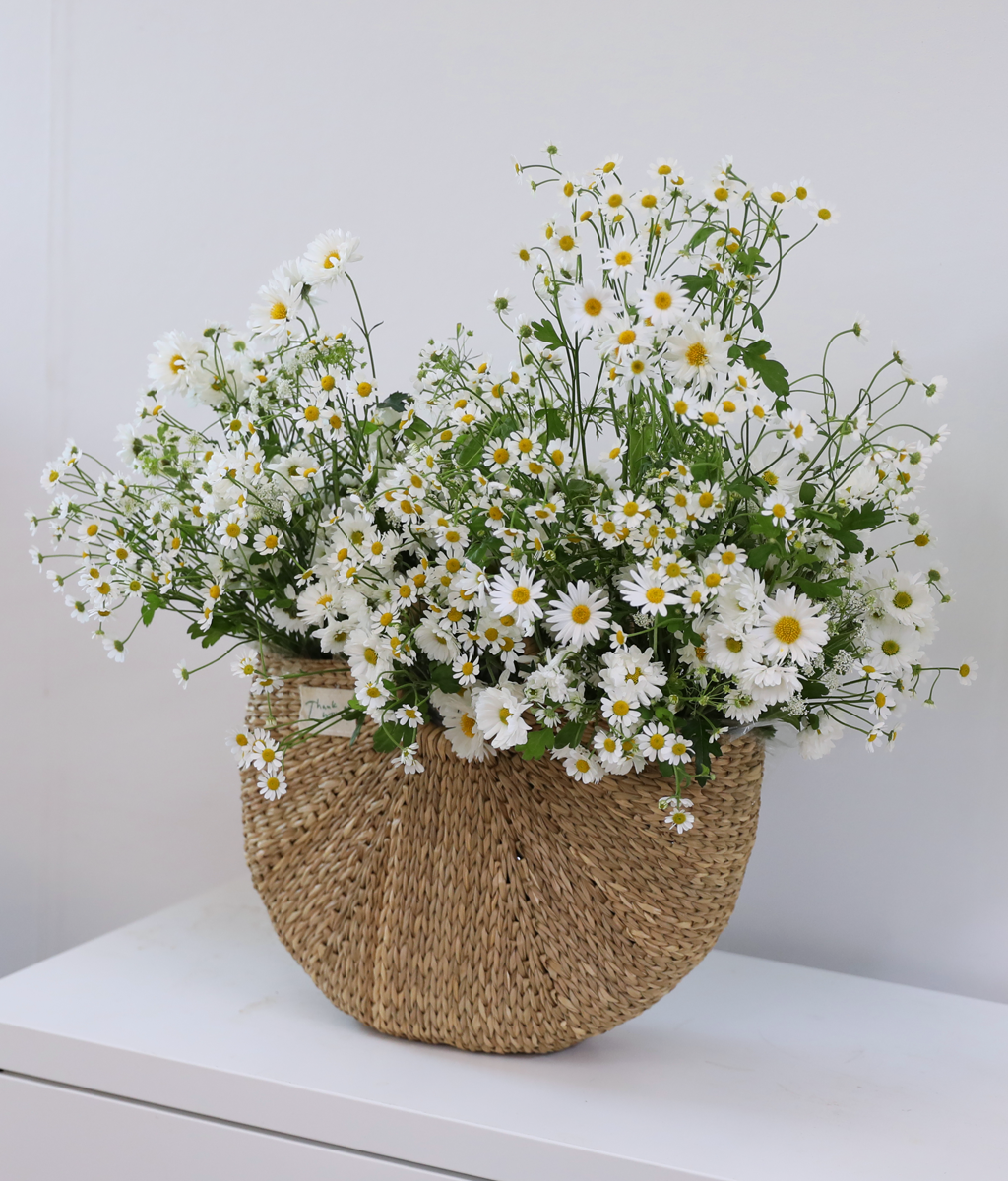 ���� �޻� ��� ���� ���� �ɹ��