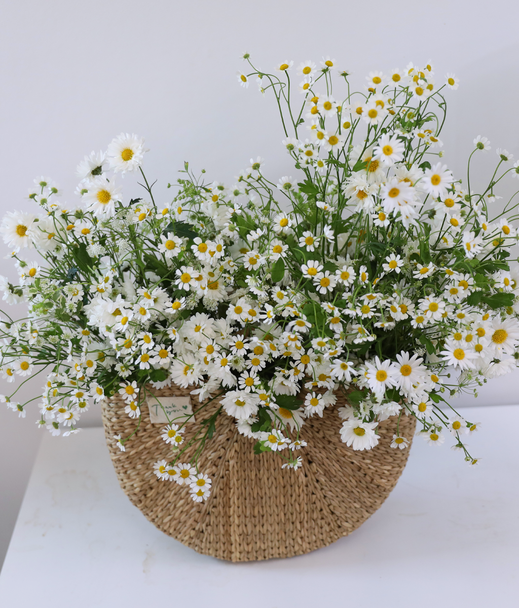 ���� �޻� ��� ���� ���� �ɹ��