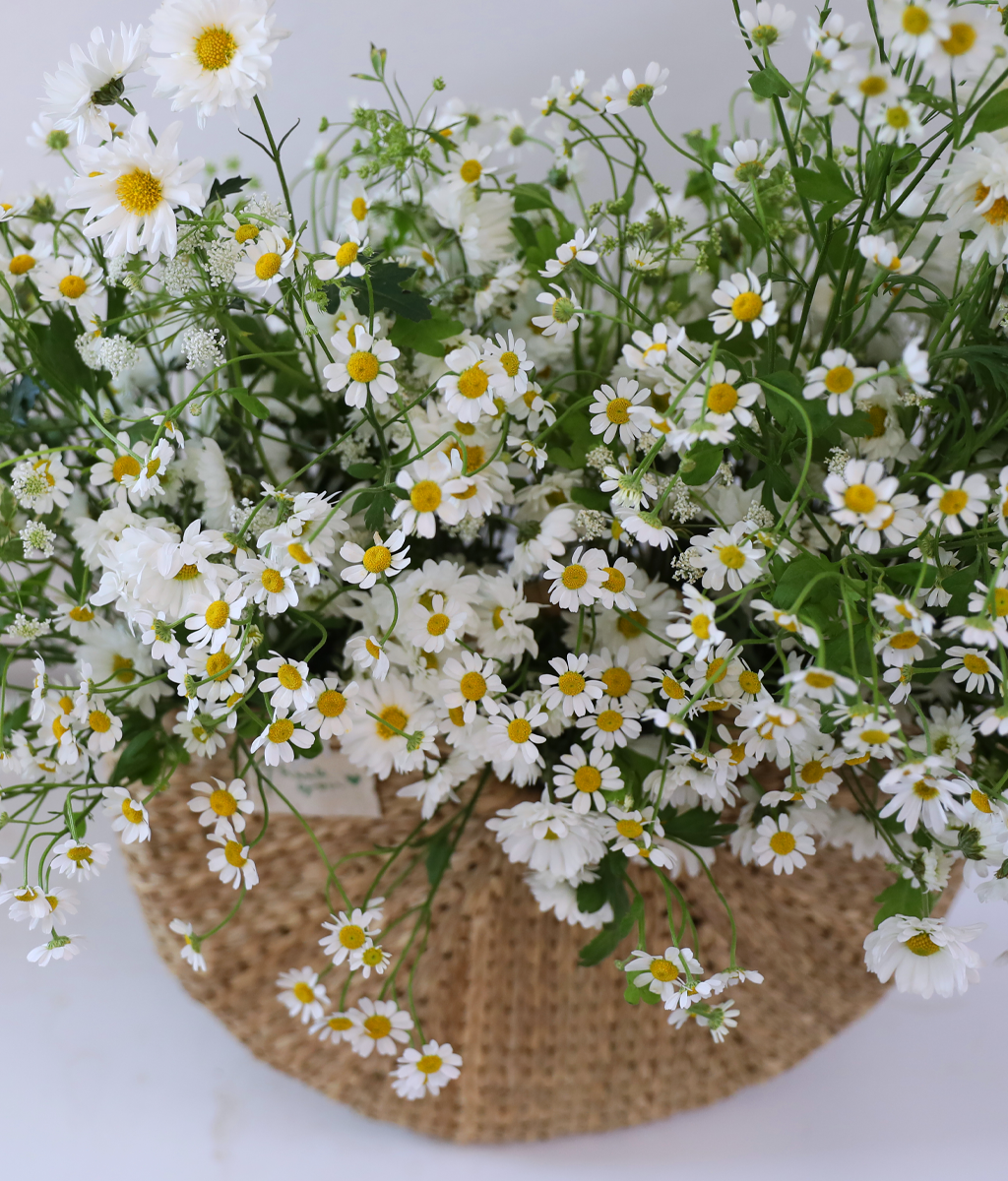 ���� �޻� ��� ���� ���� �ɹ��