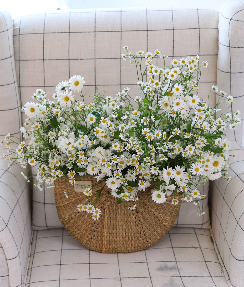 ���� �޻� ��� ���� ���� �ɹ��