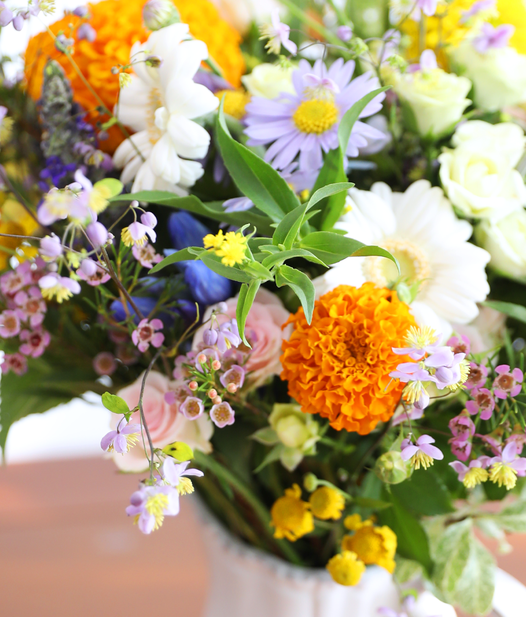 Full of Warmth ���� �ɹ��