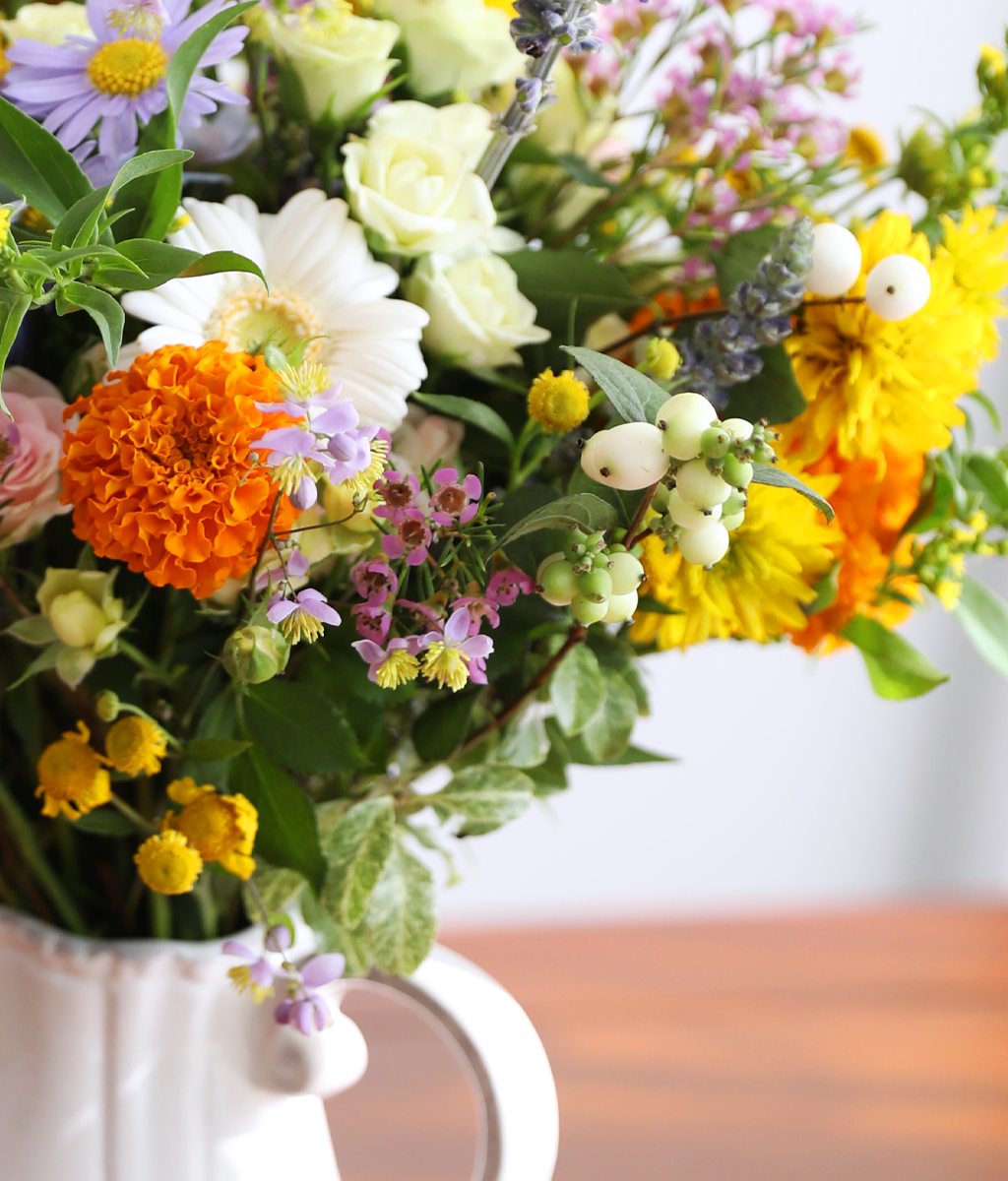 Full of Warmth ���� �ɹ��