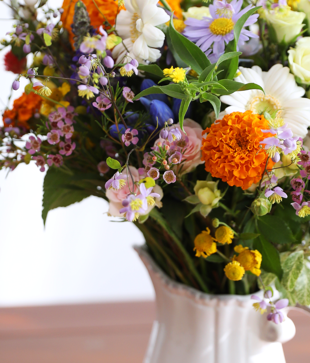 Full of Warmth ���� �ɹ��