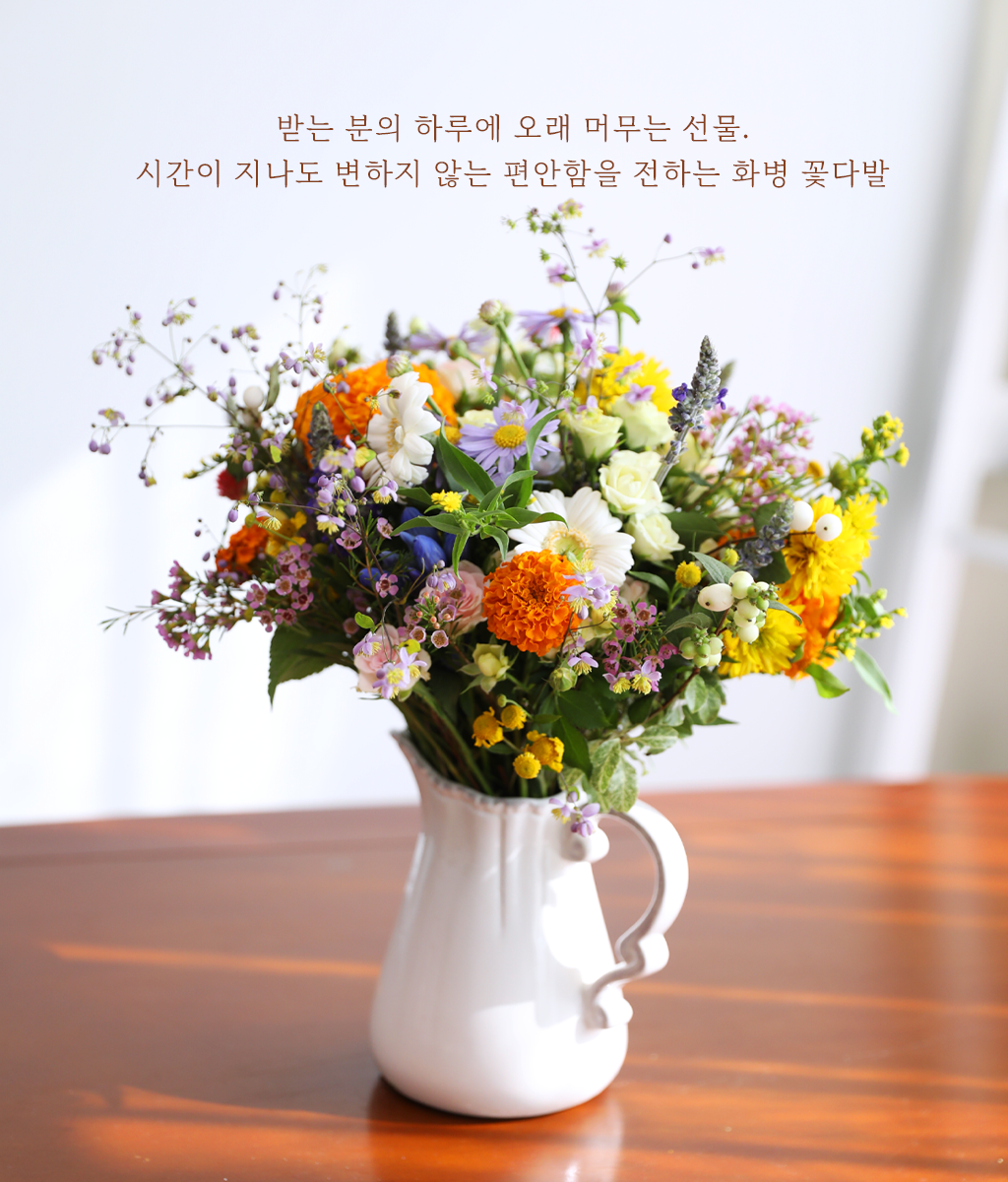 Full of Warmth ���� �ɹ��