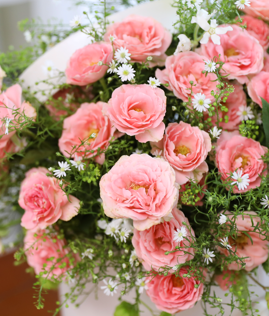 A Thought Just for You ���� �ɹ��