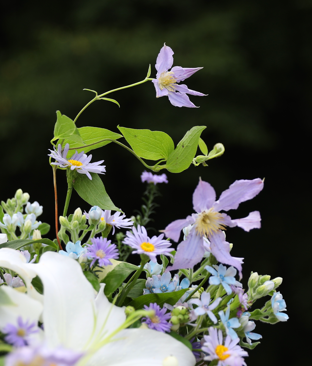 A Lovely Day, For You