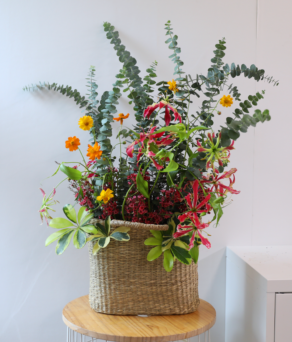 Thinking of You, Today