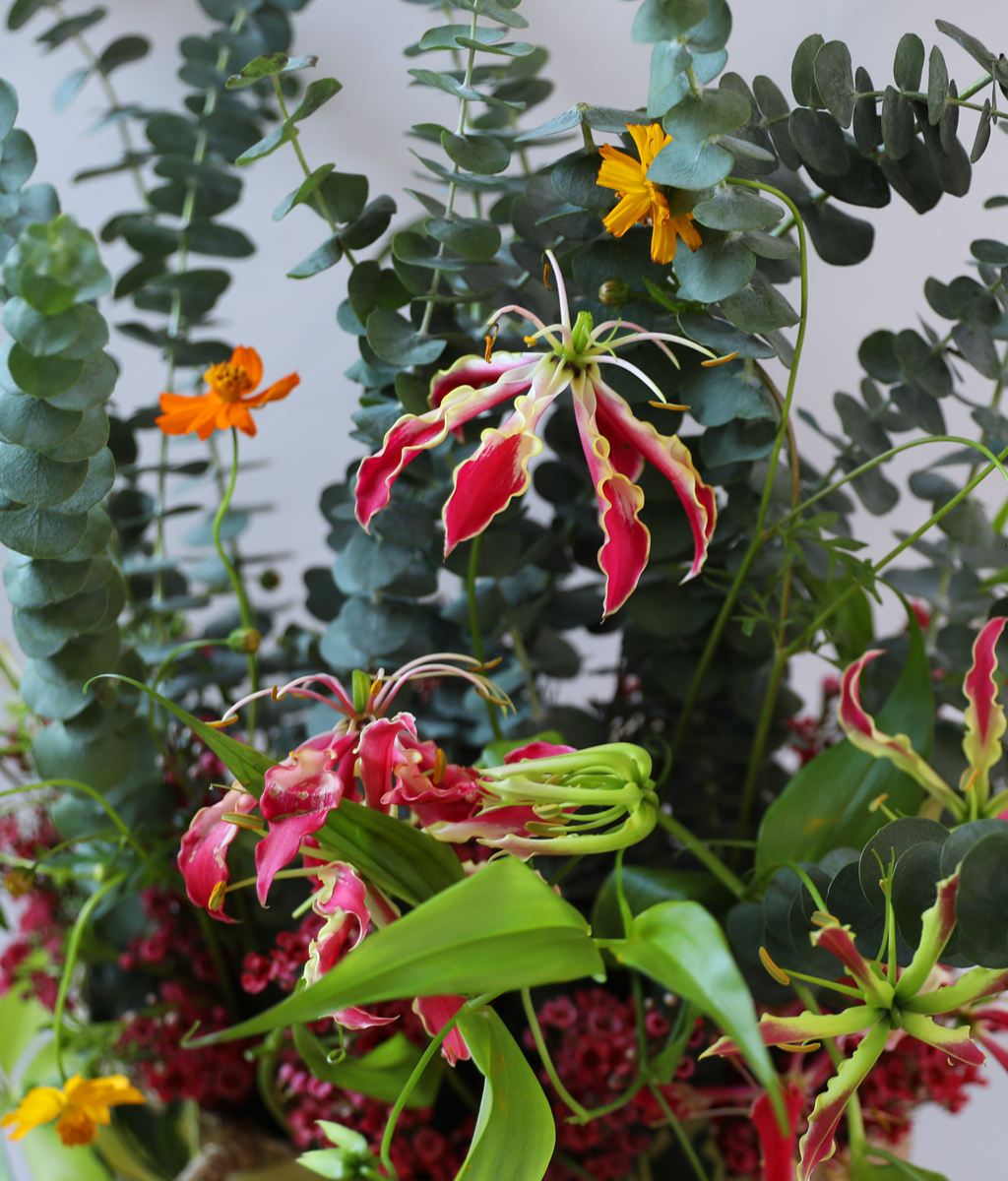 Thinking of You, Today