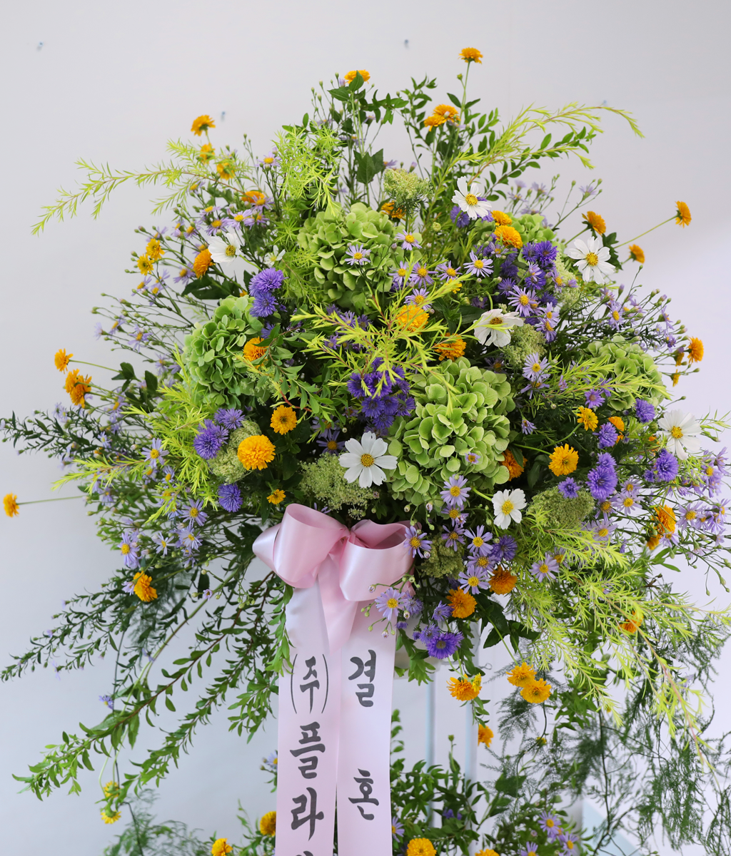 Green Wishes ���� �ɹ��