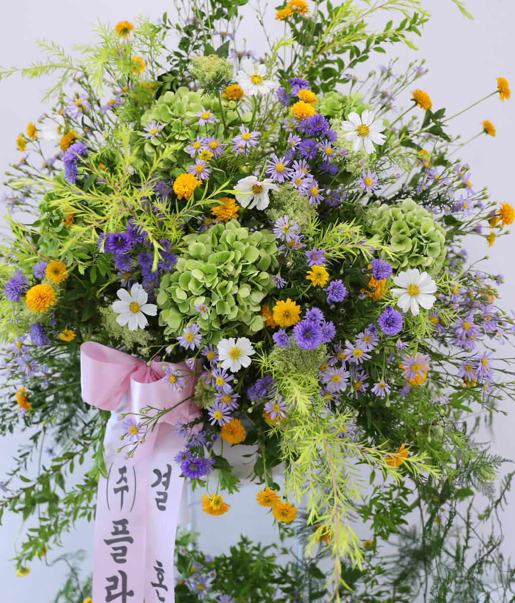 Green Wishes ���� �ɹ��