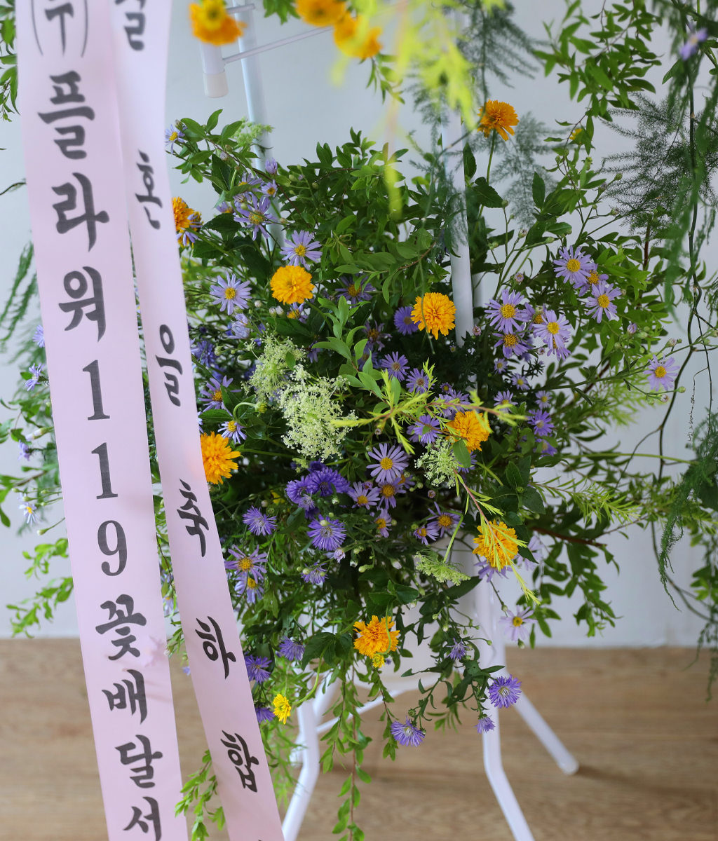 Green Wishes ���� �ɹ��