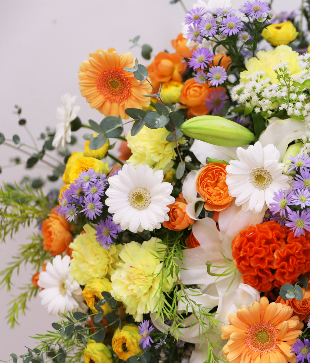 �޻� �Ѱ����� �ູ ���� �ɹ��