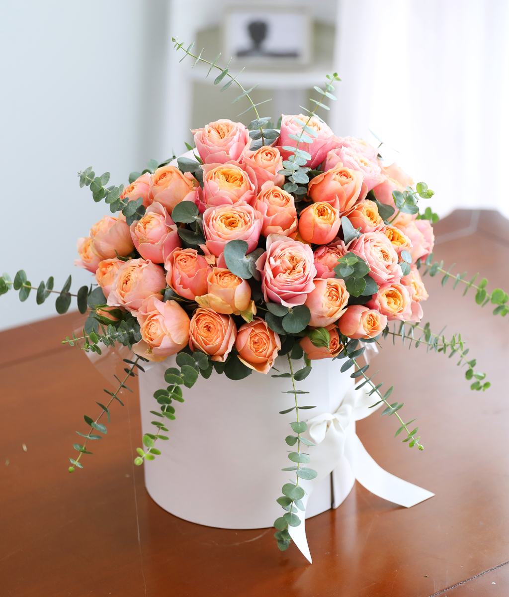 ���۸��� ��ġ�� ����