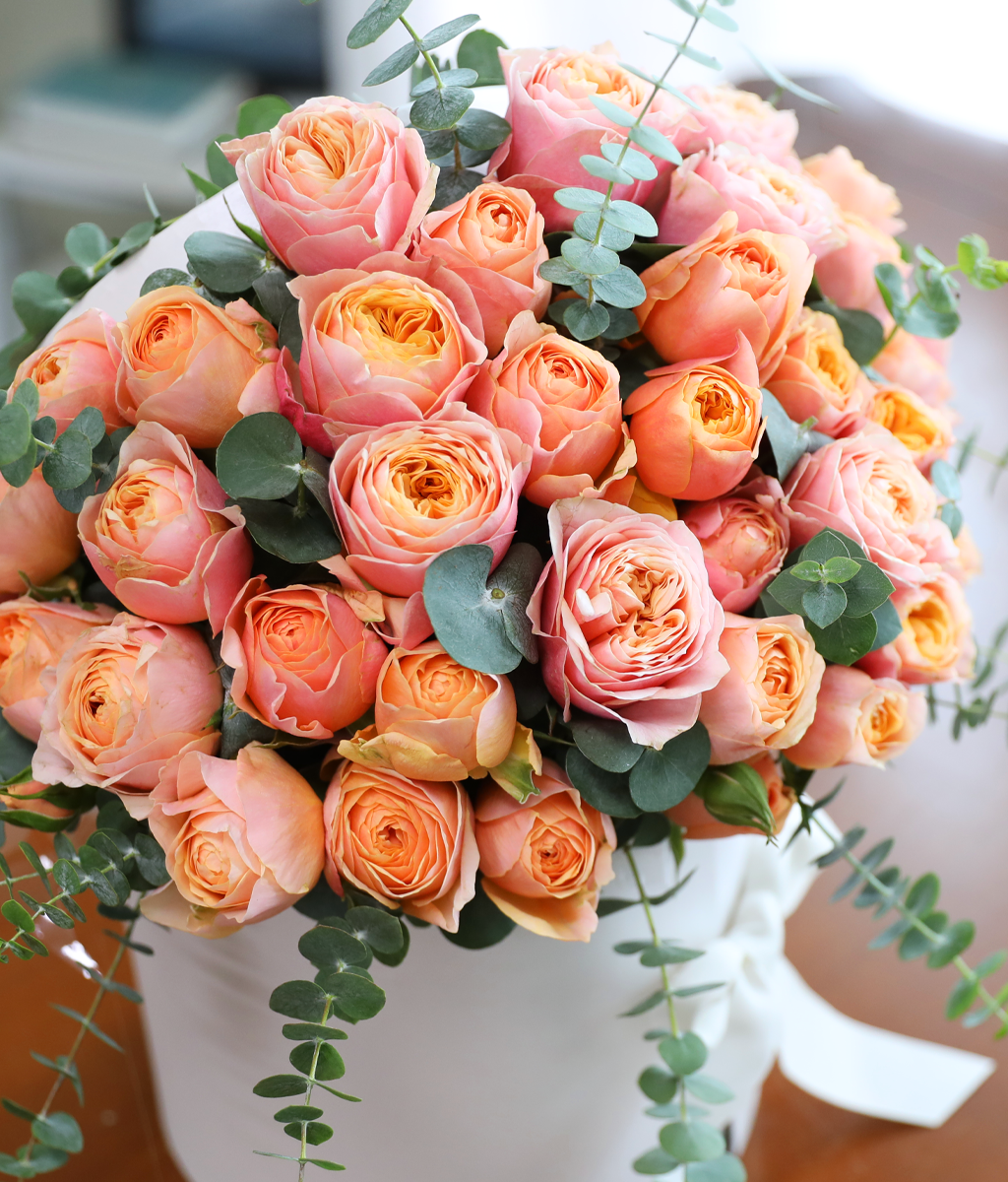 ���۸��� ��ġ�� ����