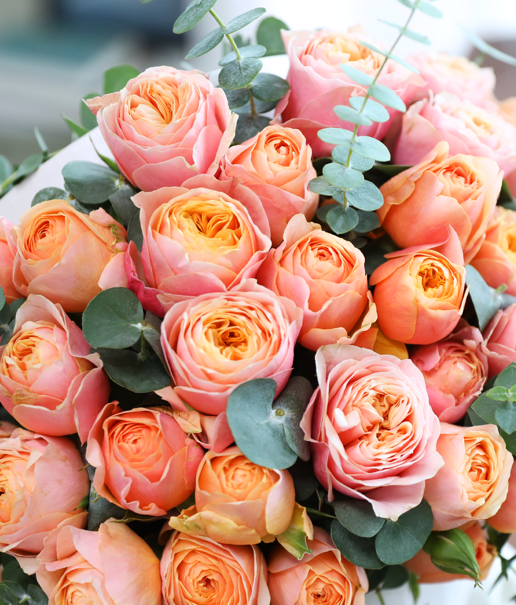 ���۸��� ��ġ�� ����