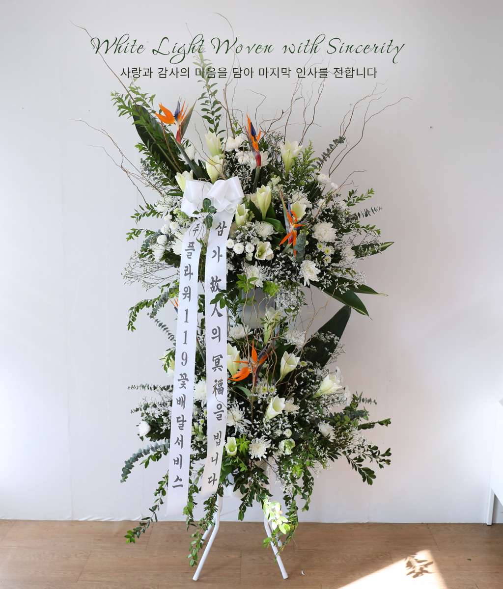 White Light Woven with Sincerity