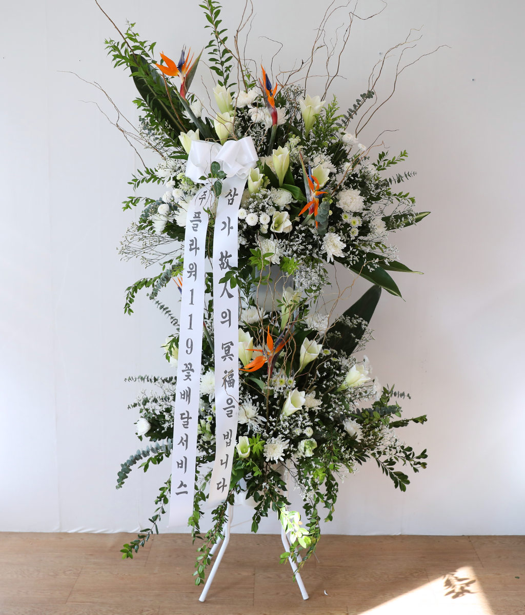 White Light Woven with Sincerity