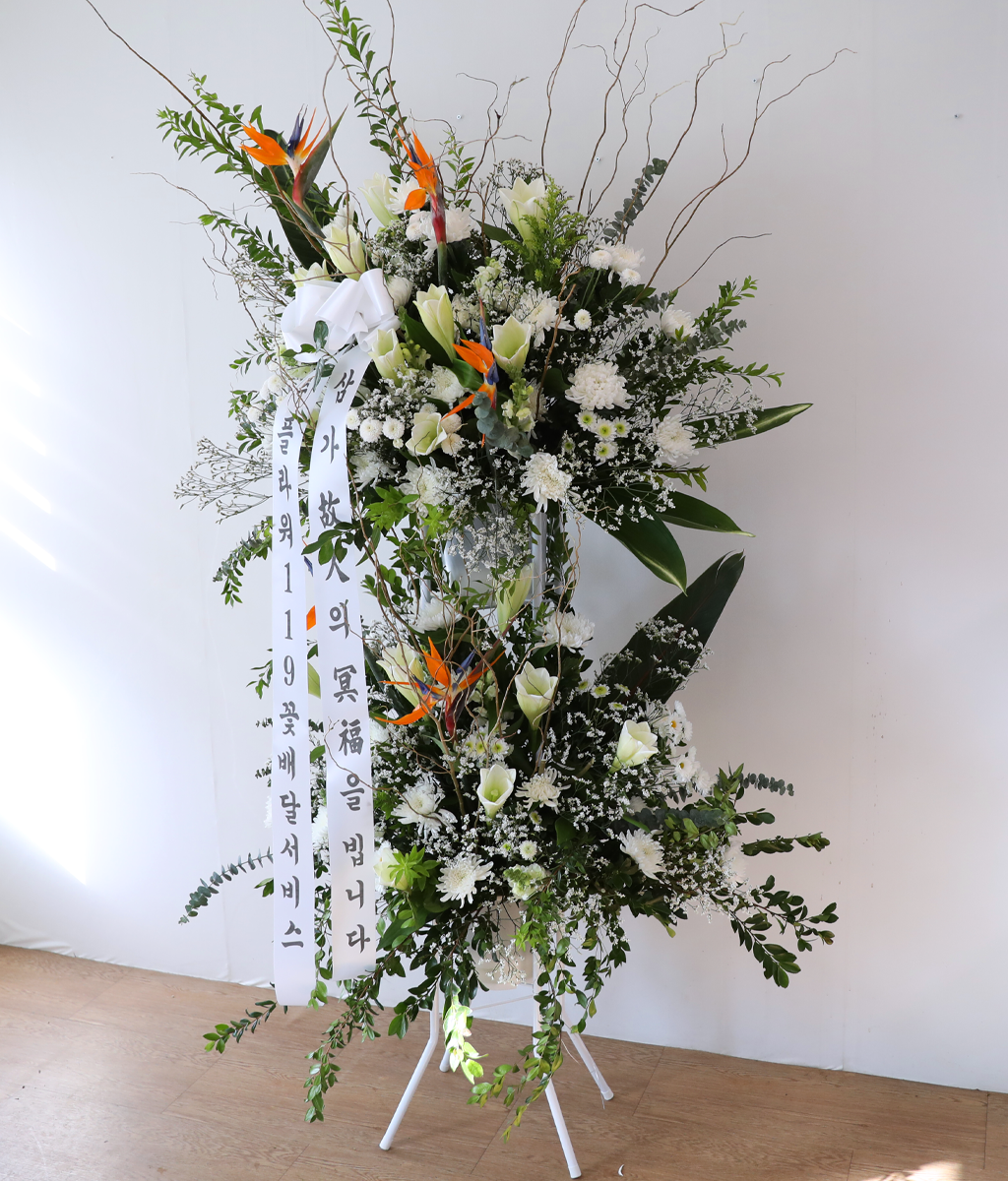 White Light Woven with Sincerity