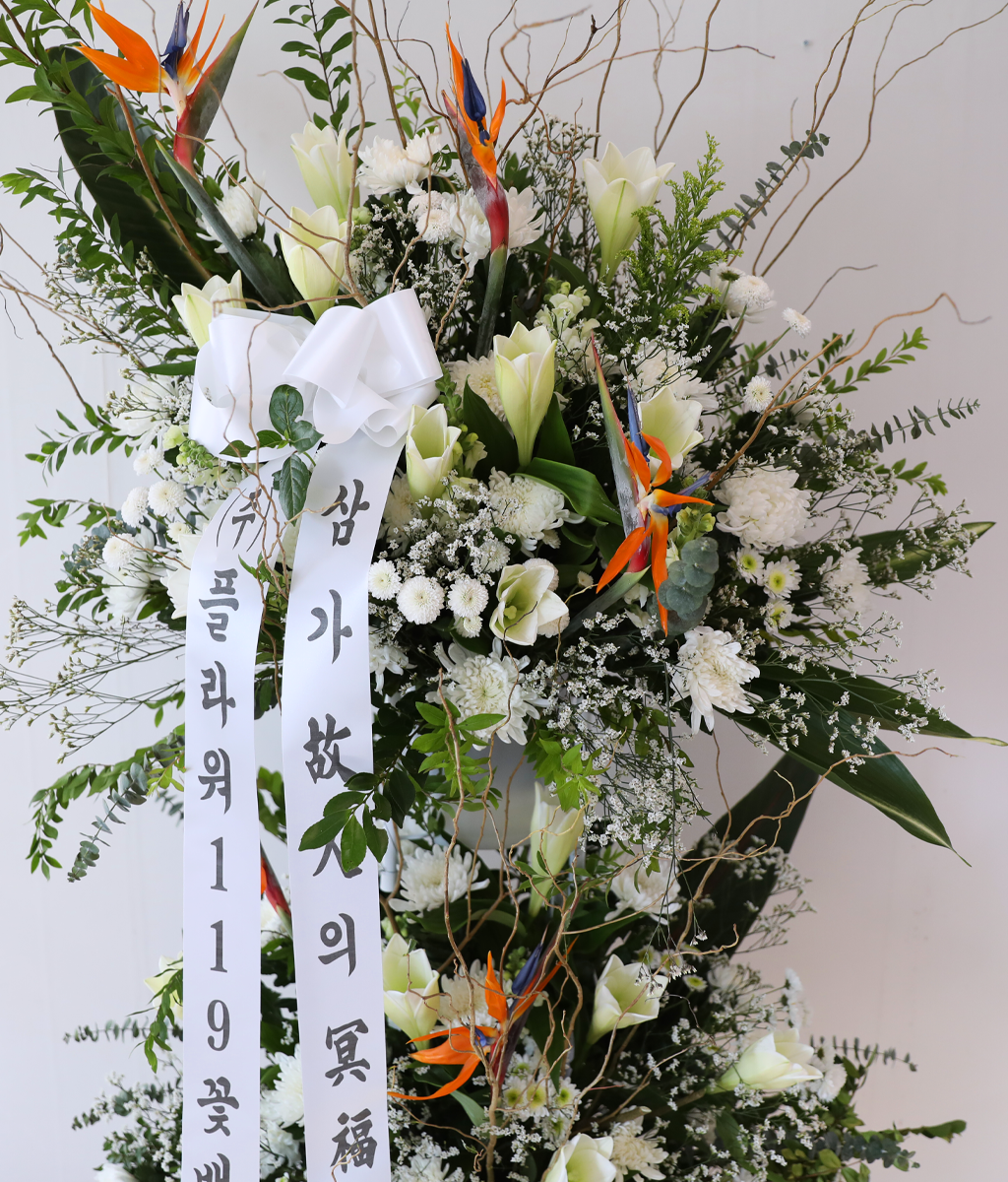 White Light Woven with Sincerity