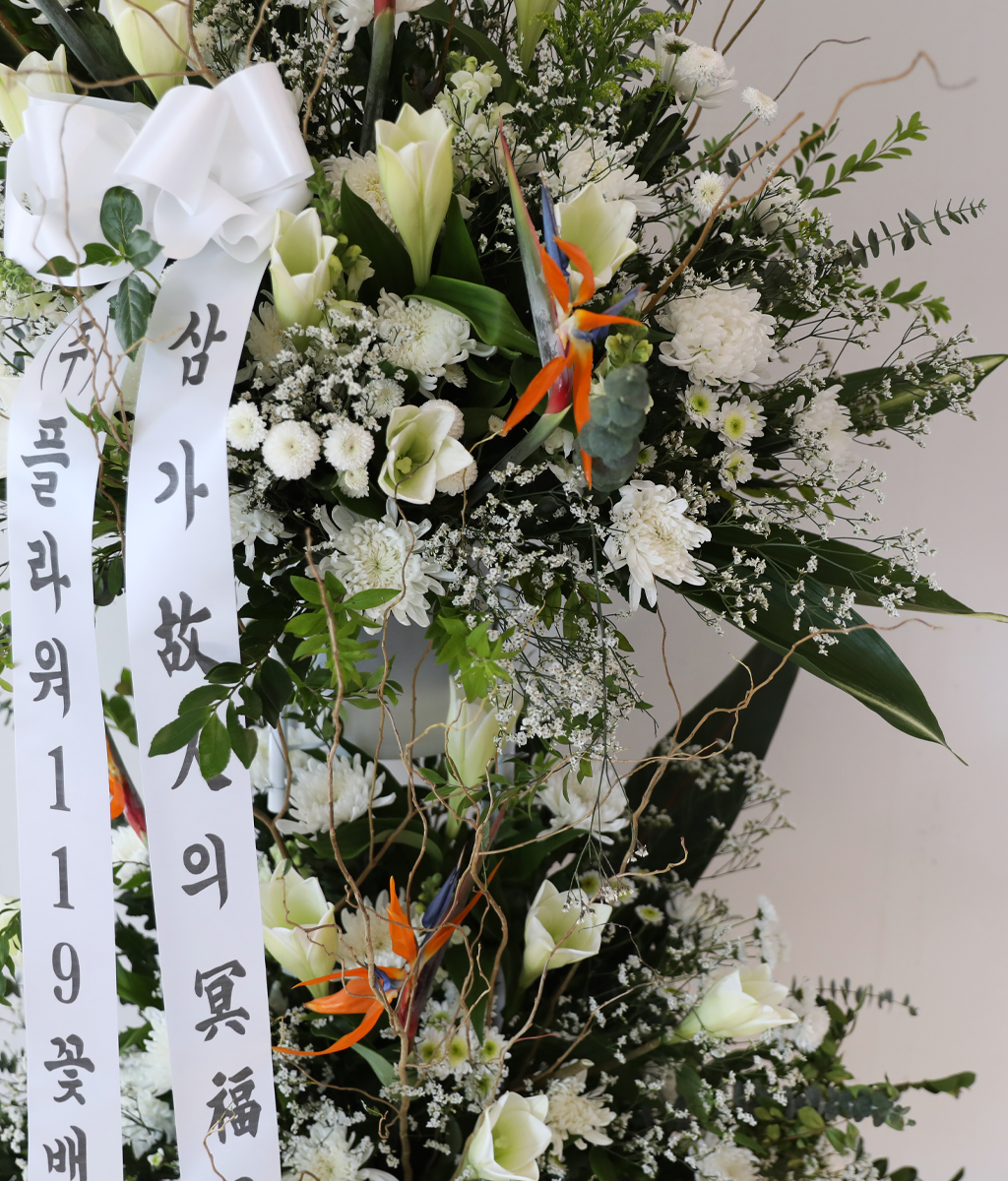 White Light Woven with Sincerity