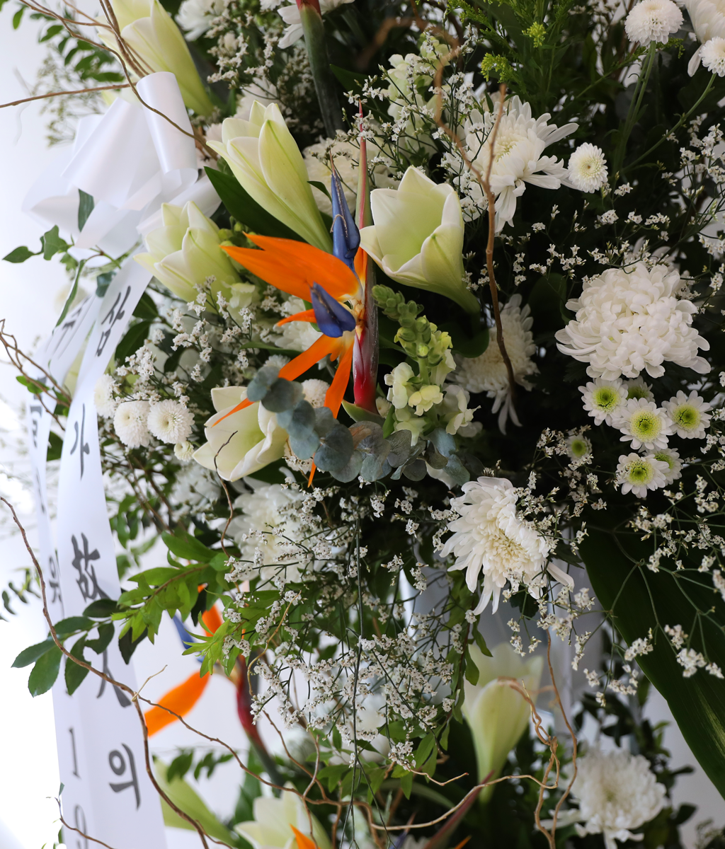 White Light Woven with Sincerity