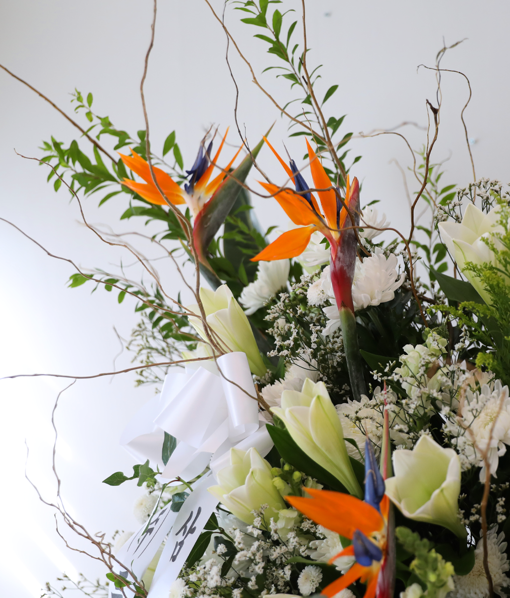 White Light Woven with Sincerity