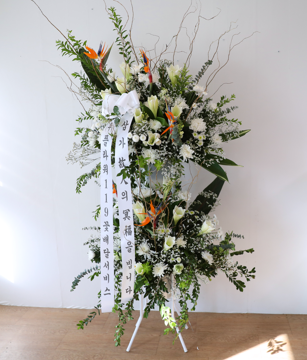 White Light Woven with Sincerity