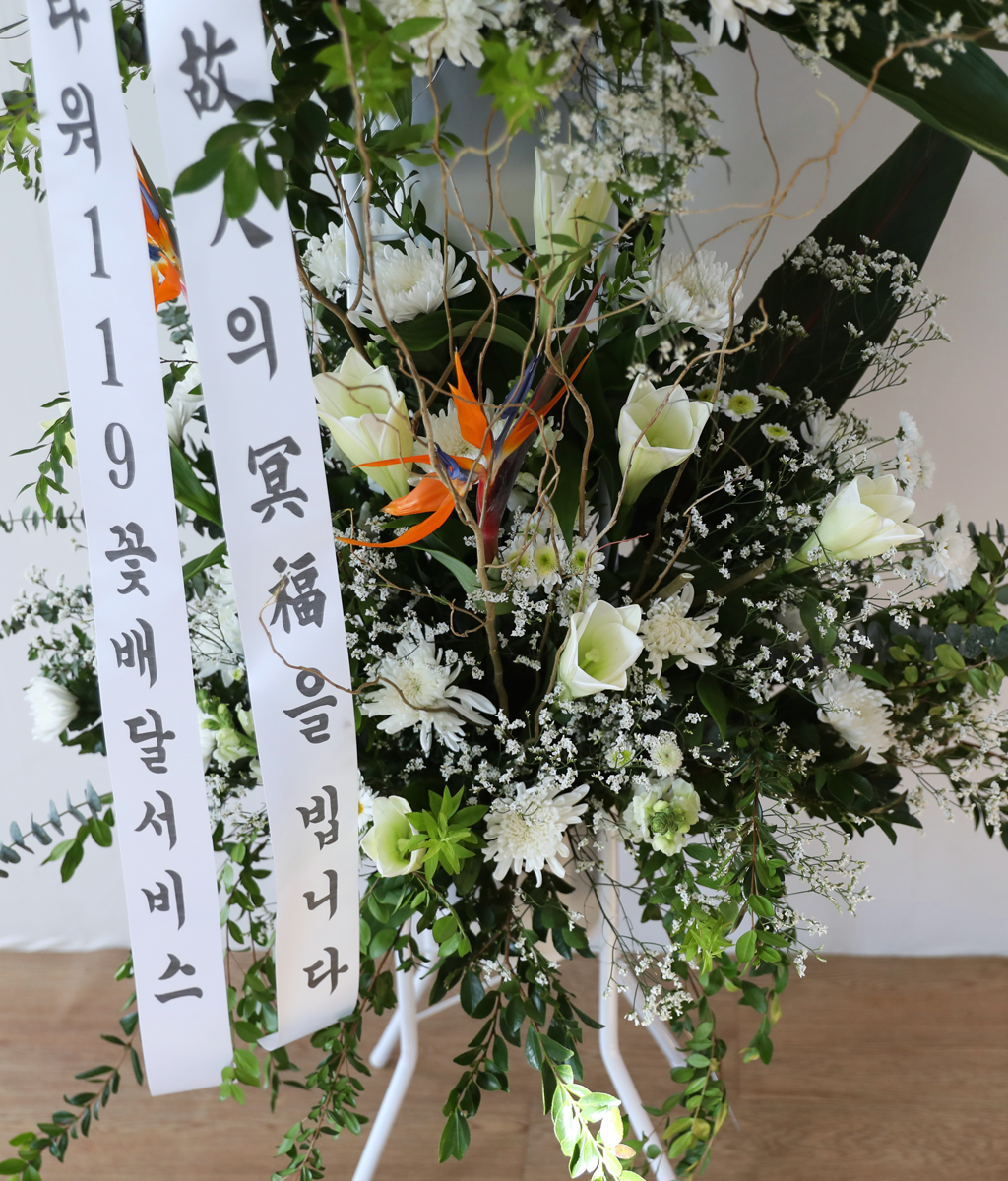 White Light Woven with Sincerity