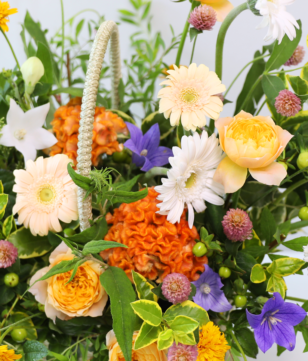 A Heart Like Sweet Sunshine