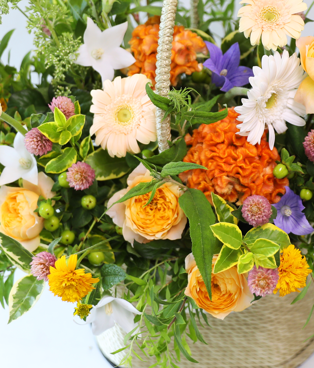 A Heart Like Sweet Sunshine