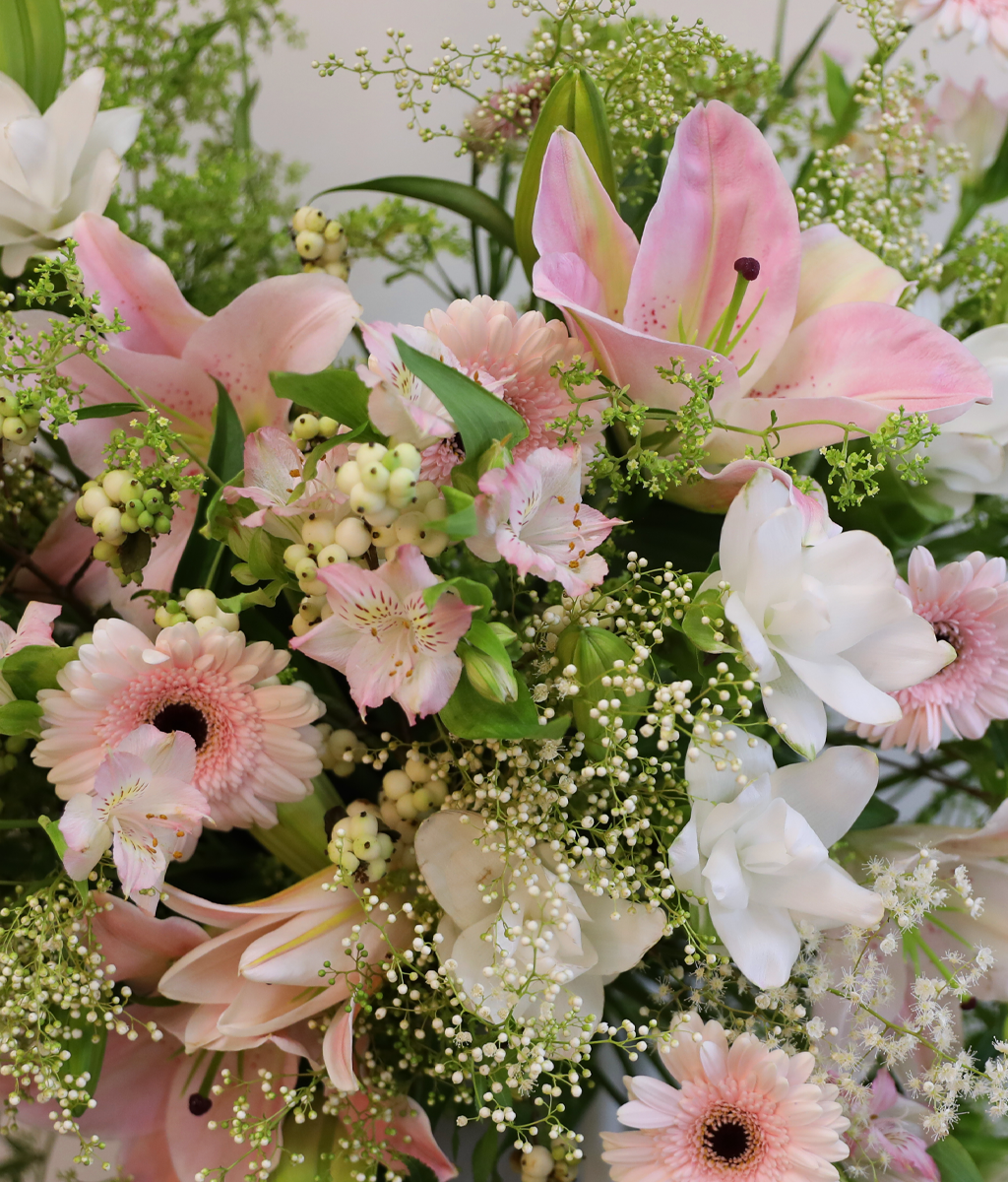 ���ӿ��� �� �డ ���� �ɹ��