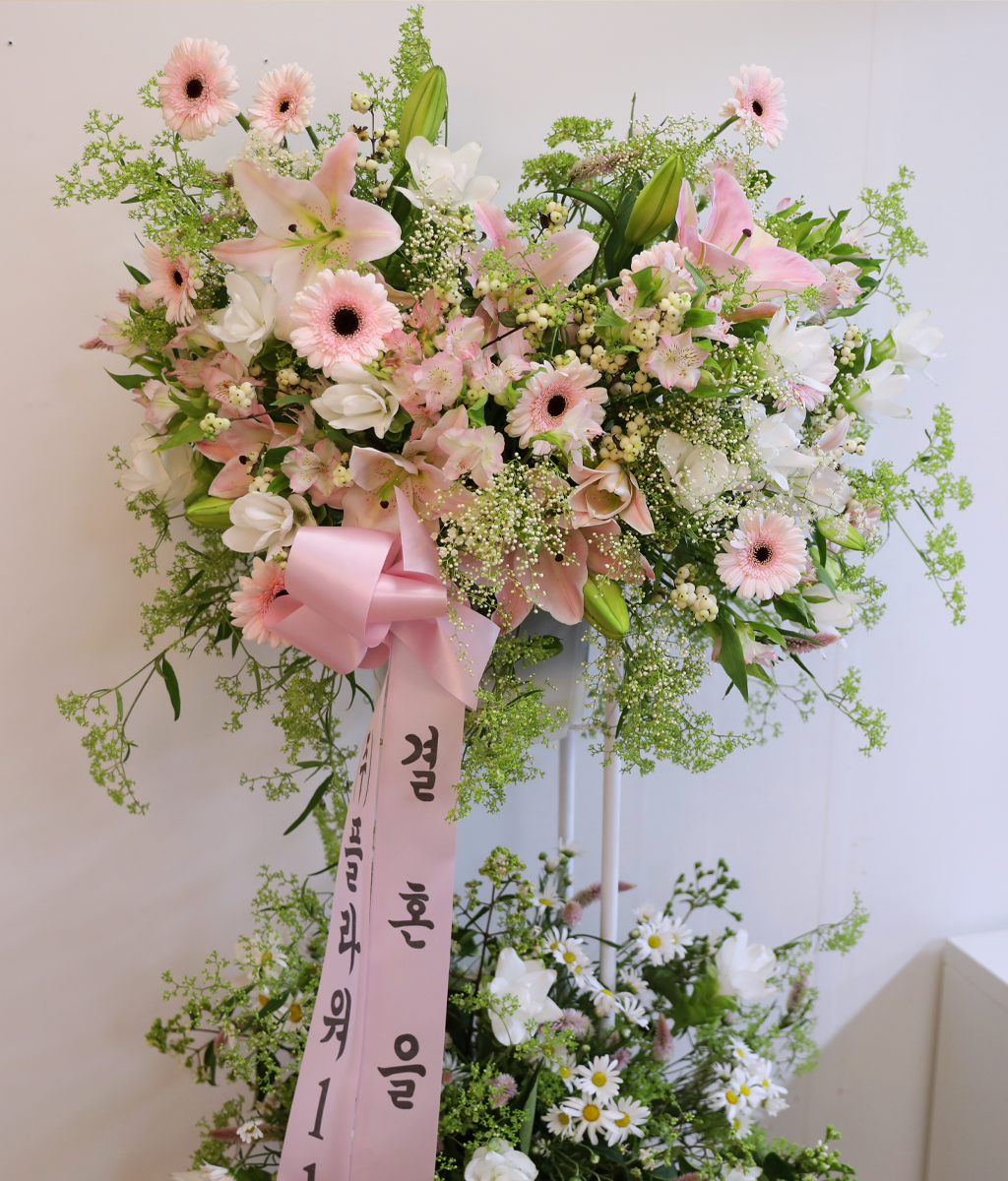 ���ӿ��� �� �డ ���� �ɹ��