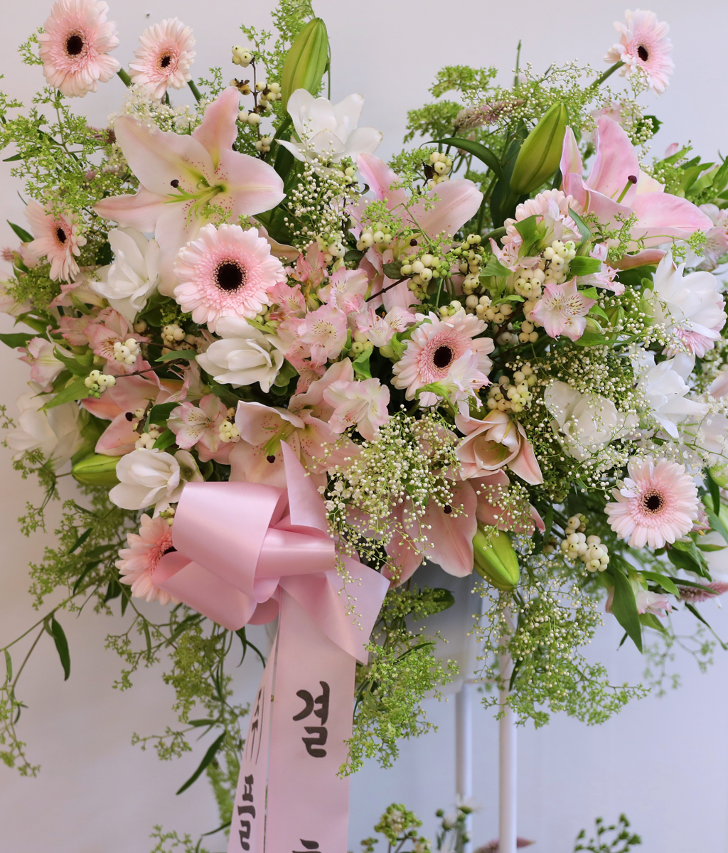 ���ӿ��� �� �డ ���� �ɹ��